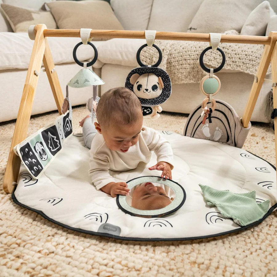 The Best toys for your 0-3 months old baby.